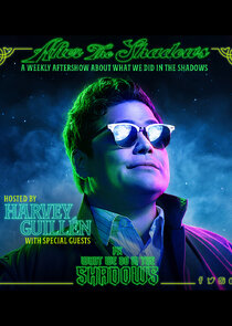 After the Shadows poster