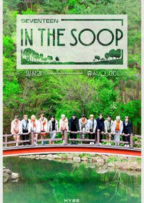 Seventeen in the Soop poster