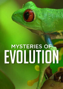 Mysteries of Evolution poster