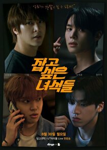 The Guys I Want to Catch poster
