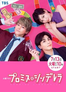 Promise Cinderella poster