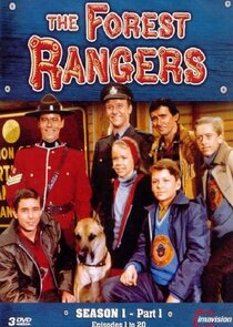 The Forest Rangers poster