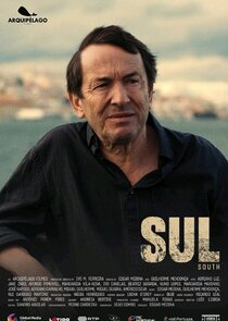 Sul poster