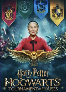 Harry Potter: Hogwarts Tournament of Houses poster