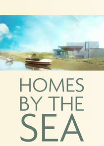 Homes by the Sea poster