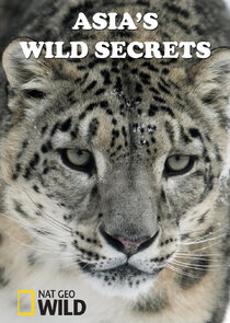 Asia's Wild Secrets poster