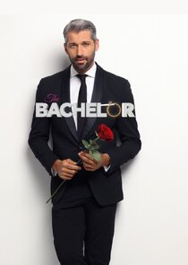 The Bachelor poster