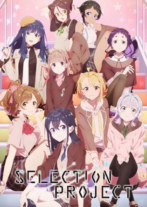 Selection Project poster