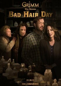 Grimm: Bad Hair Day poster