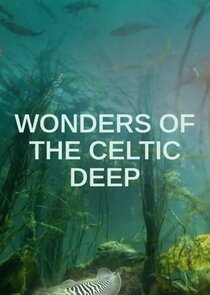 Wonders of the Celtic Deep poster