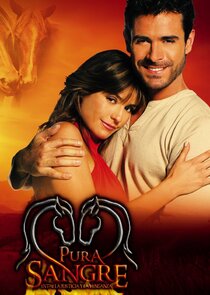 Pura Sangre poster