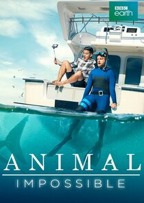 Animal Impossible poster