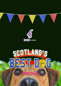 Scotland's Best Dog poster