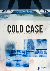 Cold Case poster
