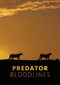 Predator Bloodlines poster