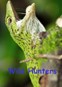 Wild Hunters poster