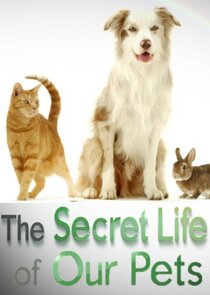 The Secret Life of Our Pets poster