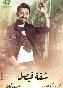 Faisal's Apartment poster