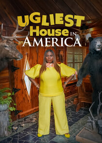 Ugliest House in America poster
