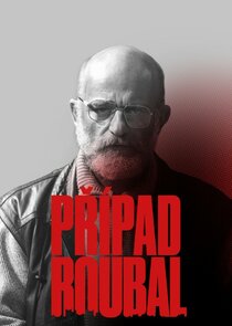 Prípad Roubal poster