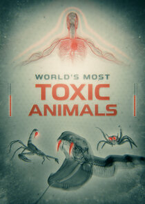 World's Most Toxic Animals poster