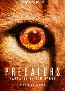 Predators poster