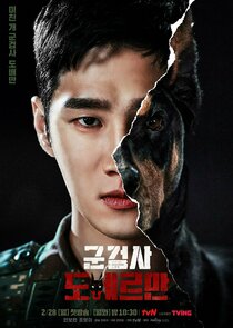 Military Prosecutor Doberman poster