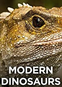 Modern Dinosaurs poster