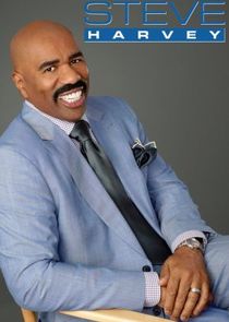 STEVE poster