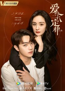 She and Her Perfect Husband poster
