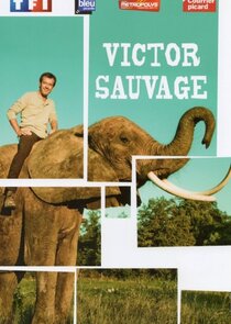 Victor Sauvage poster