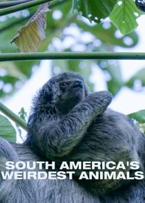 South Americas Weirdest Animals poster