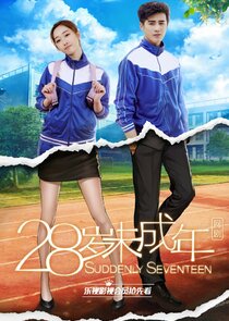 Suddenly Seventeen poster