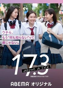 17.3 About Love Country poster