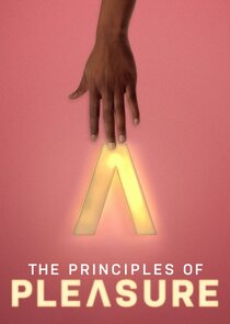 The Principles of Pleasure poster