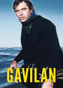 Gavilan poster