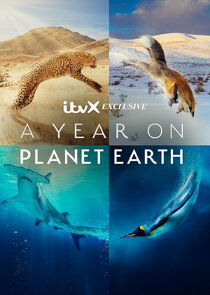 A Year on Planet Earth poster