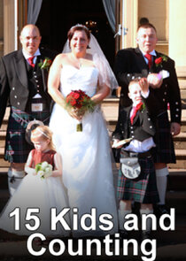 15 Kids and Counting poster