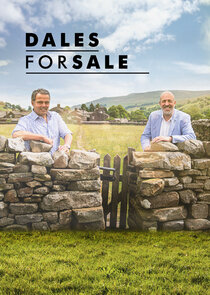 Dales for Sale poster