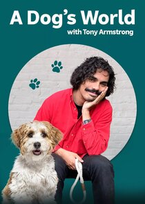 A Dog's World with Tony Armstrong poster
