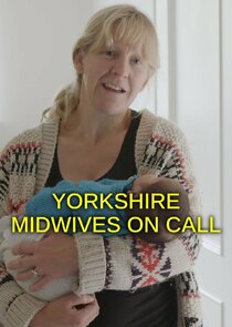 Yorkshire Midwives on Call poster