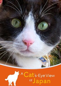 A Cat's-Eye View of Japan poster