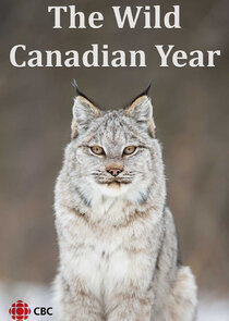 The Wild Canadian Year poster