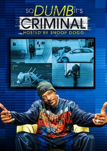 So Dumb It's Criminal poster
