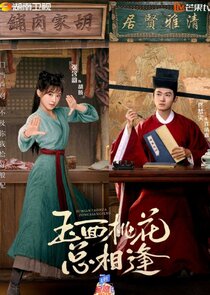 The Lady in Butcher's House poster