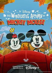 The Wonderful Mickey Mouse poster
