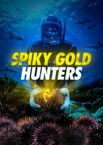 Spiky Gold Hunters poster