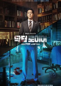 Doctor Lawyer poster