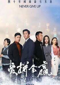 Never Give Up poster