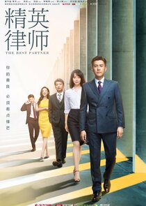 The Best Partner poster